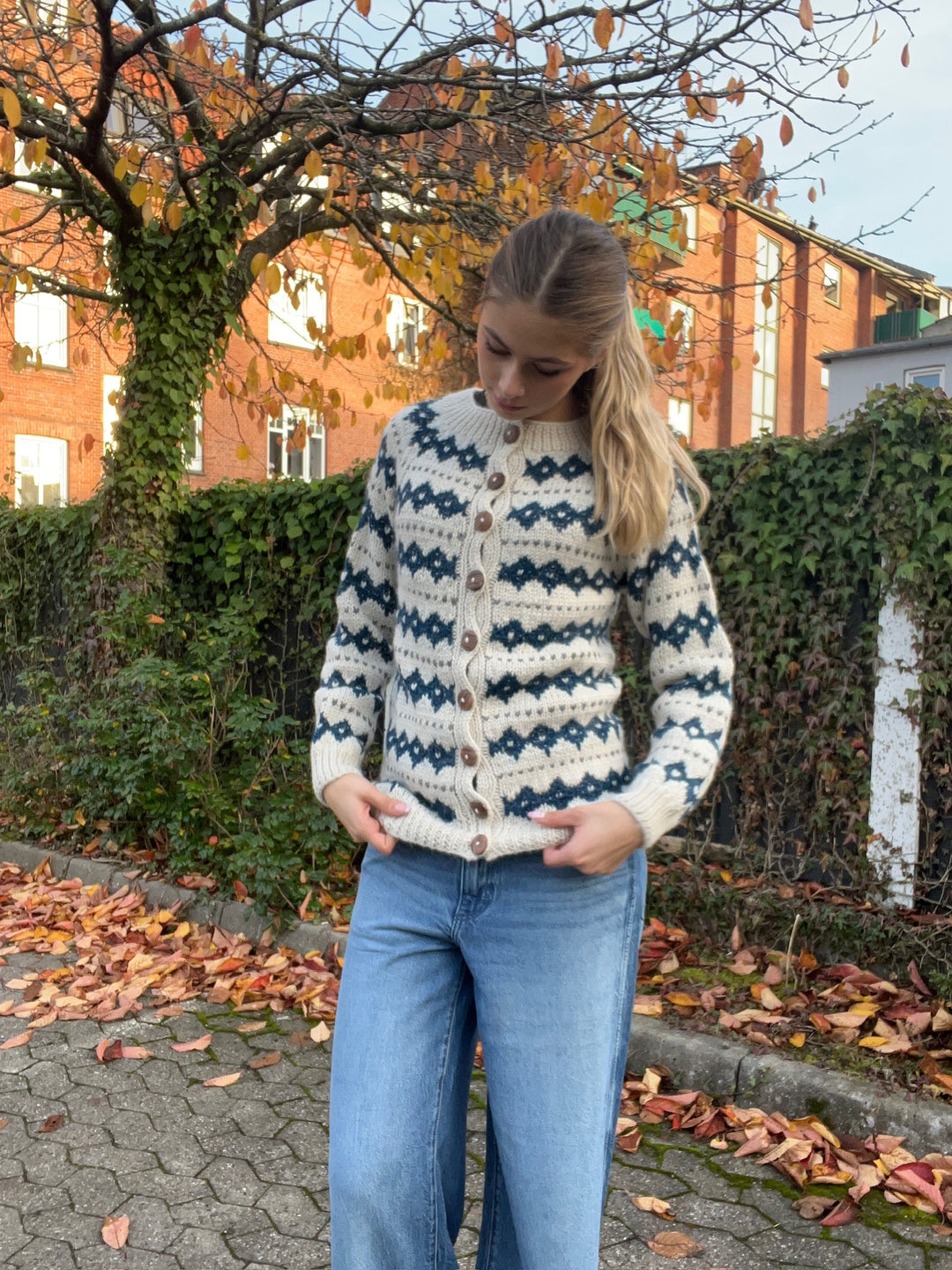 Chola - Knit Cardigan - Blue Pattern