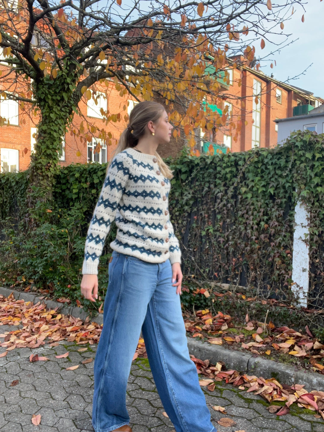 Chola - Knit Cardigan - Blue Pattern