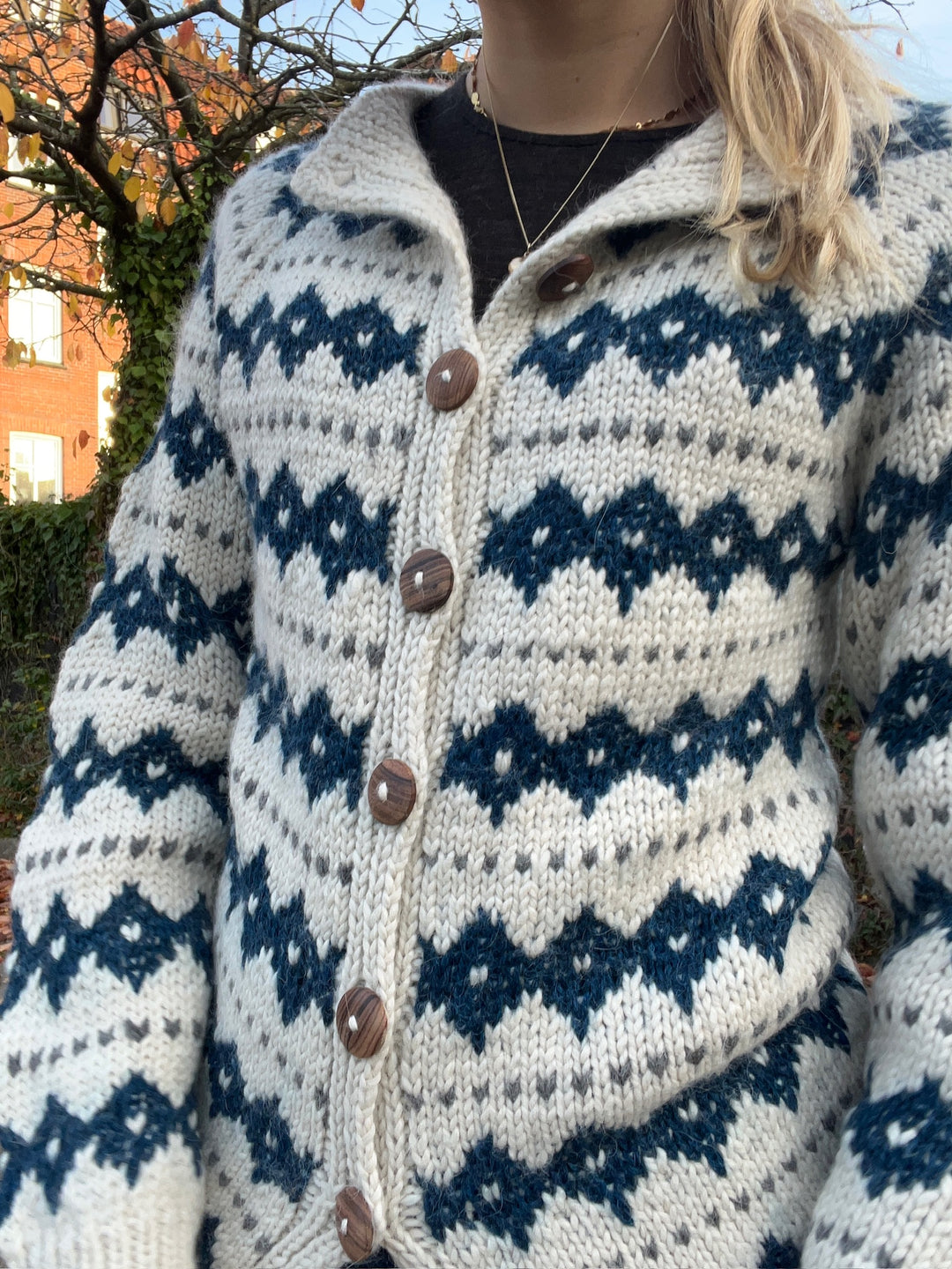 Chola - Knit Cardigan - Blue Pattern