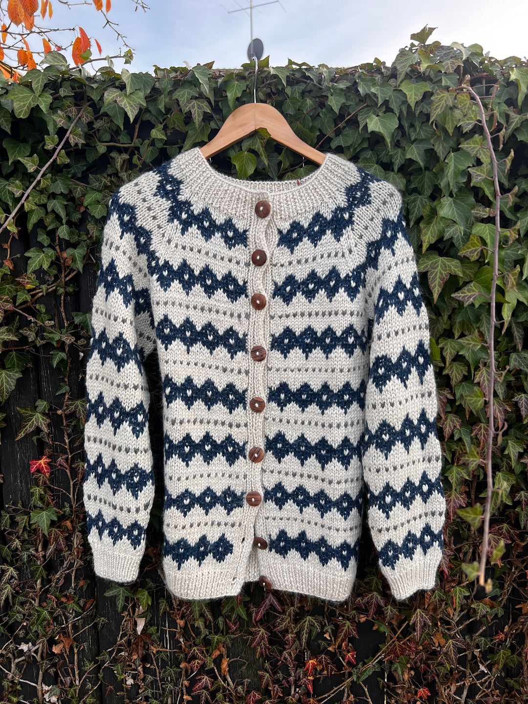 Chola - Knit Cardigan - Blue Pattern
