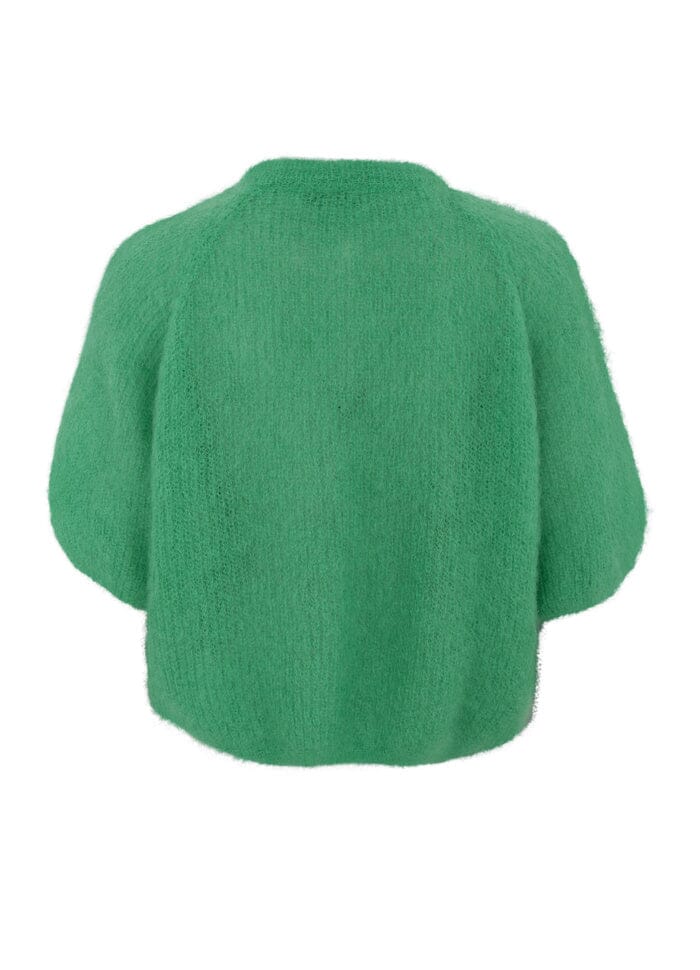 Black Colour - Bjoerk Patent Knit Cardigan - Green