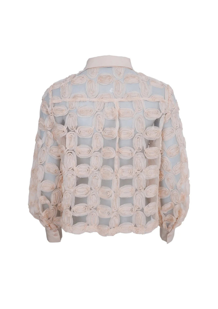 Black Colour - Violet Shirt - Champagne