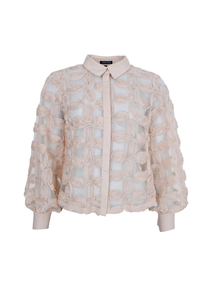 Black Colour - Violet Shirt - Champagne