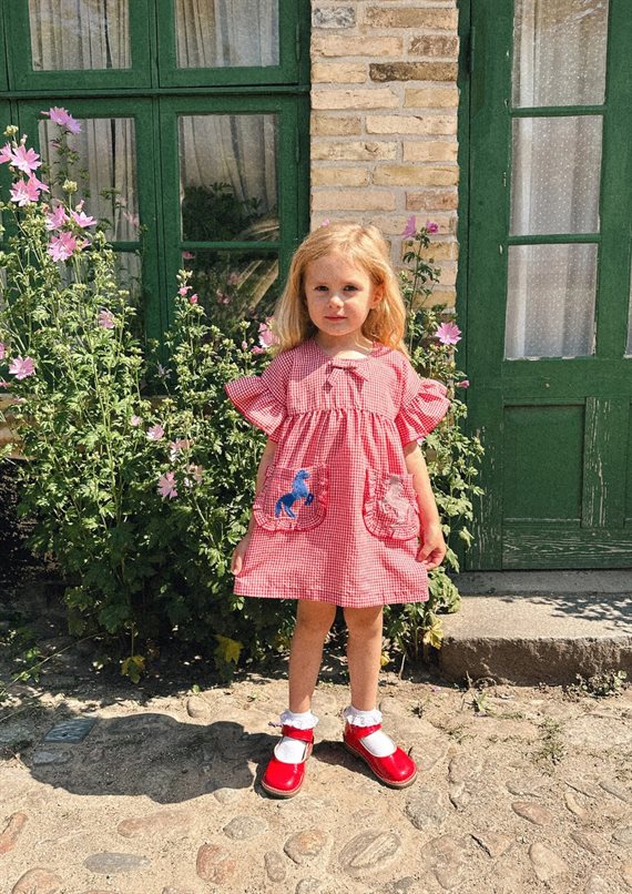 Sissel Edelbo - Ohio Mini Dress - Red White Gingham