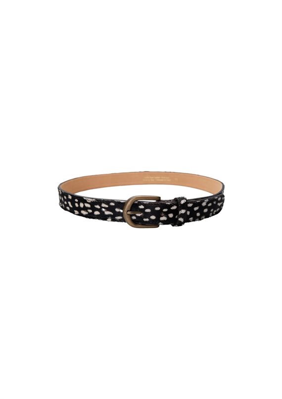 Black Colour - BCBellis Bælte - Black Dotted